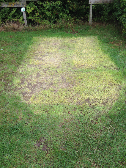 nabeeld en afdruk van een tentje in het gras